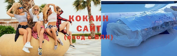 крисы Баксан
