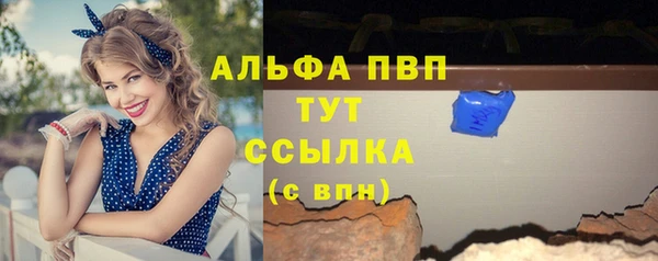 твердый Арсеньев