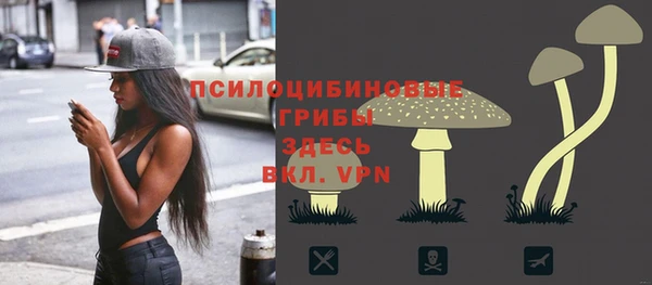 PSILOCYBIN Балахна