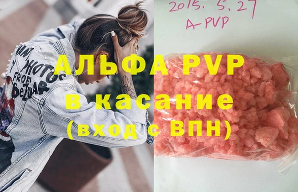 крисы Баксан